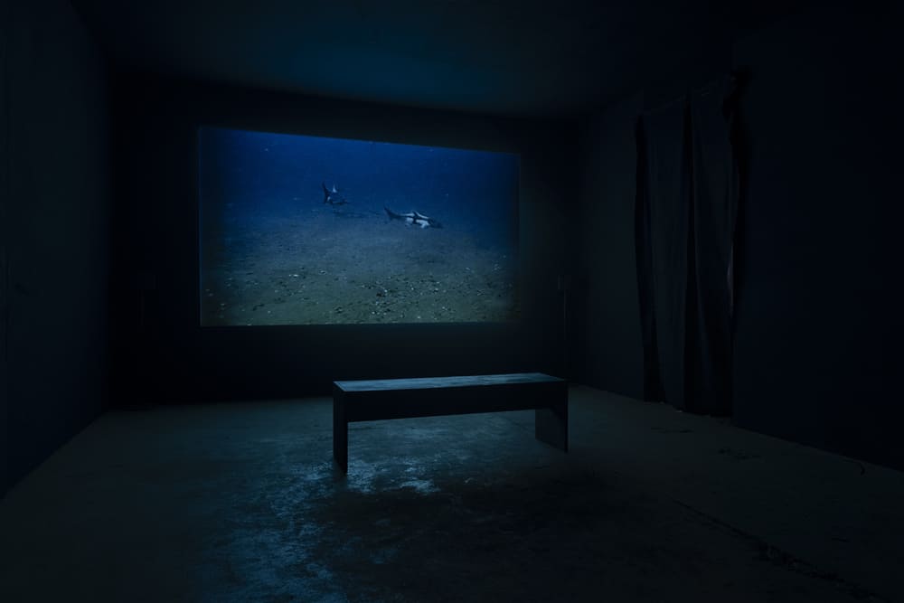 Pochen | Biennale | 2024 - 11